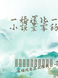 一婚还比一婚高小说晨雾的光完整版全文阅读