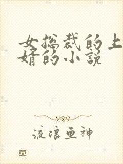 女总裁的上门女婿的小说