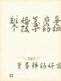 离婚怎么争取两个孩子的抚养权