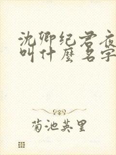 沈卿纪君夜小说叫什么名字