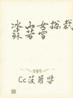 冰山女总裁沈浪苏若雪