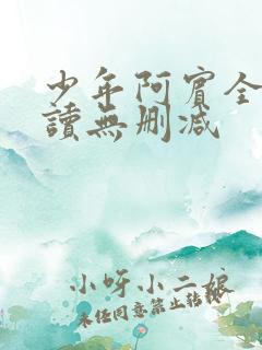 少年阿宾全文阅读无删减