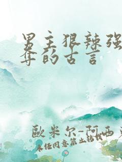 男主狠辣强取豪夺的古言