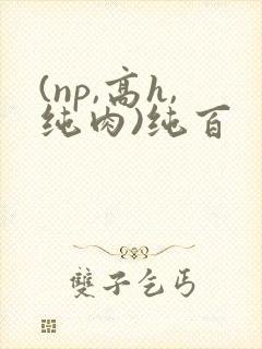 (np,高h,纯肉)纯百