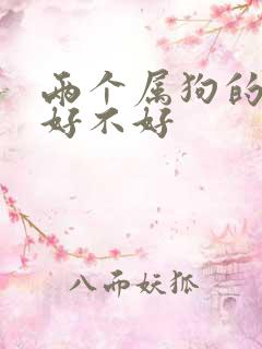 两个属狗的夫妻好不好