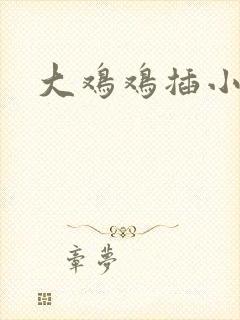 大鸡鸡插小逼逼