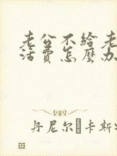 老公不给老婆生活费怎么办