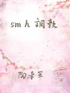 sm h 调教