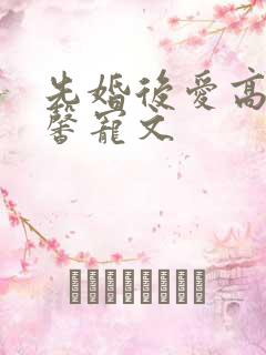 先婚后爱高干温馨宠文