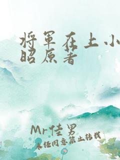 将军在上小说叶昭原著