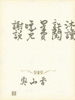 谢晚星许沐尧小说免费阅读最新章节