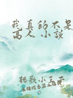 我真的不是盖世高人 小说