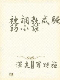 被调教成骚母狗的小说