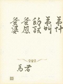 爸爸的弟弟的老婆应该叫什么