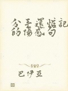 分手还惦记对方的伤感句