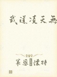 武道凌天无弹窗