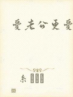 爱老公更爱公公