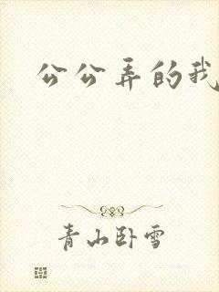 公公弄的我好爽