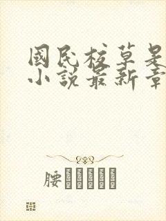 国民校草是女生小说最新章节