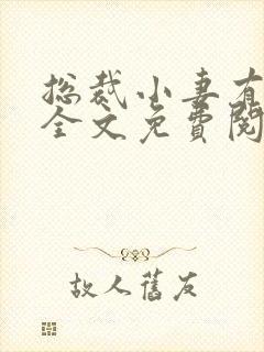 总裁小妻有点甜全文免费阅读