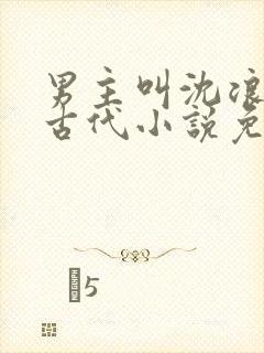 男主叫沈浪穿越古代小说免费