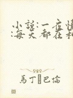 小说:一夜情深:每天都在和大佬谈恋爱