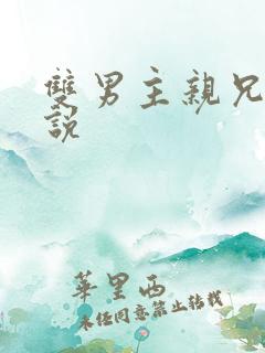 双男主亲兄弟小说