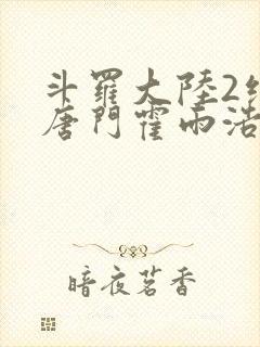 斗罗大陆2绝世唐门霍雨浩小说