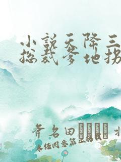 小说天降三宝,总裁爹地拐回家