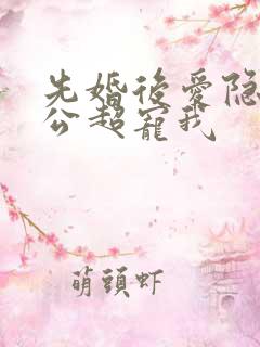 先婚后爱隐婚老公超宠我