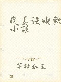 我真没吃软饭 小说