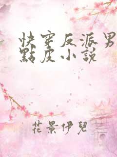 快穿反派男神有点皮小说