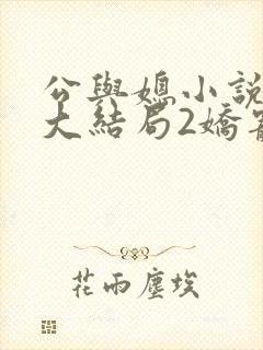 公与媳小说姚瑶大结局2娇宠儿媳