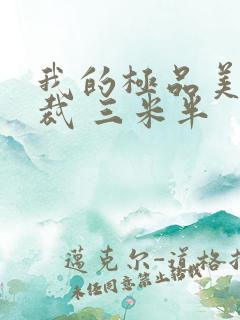 我的极品美女总裁 三米半