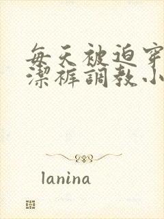 每天被迫穿上贞洁裤调教小说