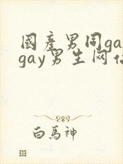 国产男同gaygay男生网站