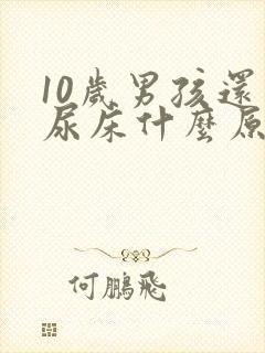 10岁男孩还在尿床什么原因