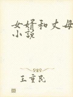 女婿和丈母娘的小说