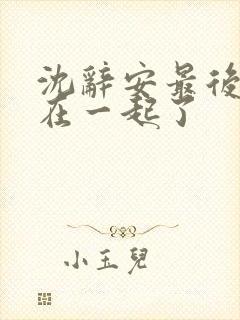 沈辞安最后和谁在一起了