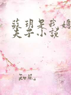 苏玥是我媳妇;夫子小说