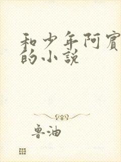 和少年阿宾一样的小说