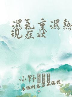 湿气重湿热的表现症状