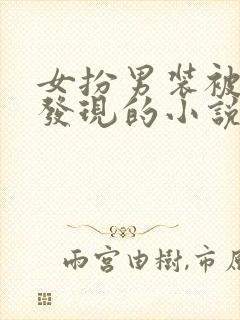 女扮男装被皇上发现的小说
