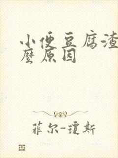 小便豆腐渣是什么原因