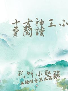 十方神王小说免费阅读