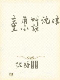 主角叫沈浪的重生小说