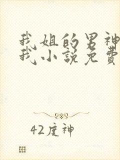 我姐的男神暗恋我小说免费阅读