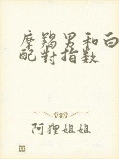 摩羯男和白羊女配对指数