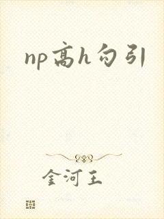 np高h勾引