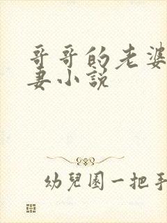 哥哥的老婆是娇妻小说